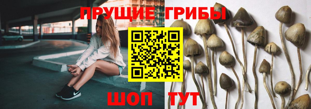 Псилоцибиновые грибы Magic Shrooms Апатиты